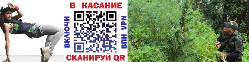 Бошки Шишки Новокузнецк