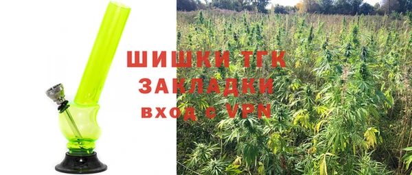 тгк Алзамай