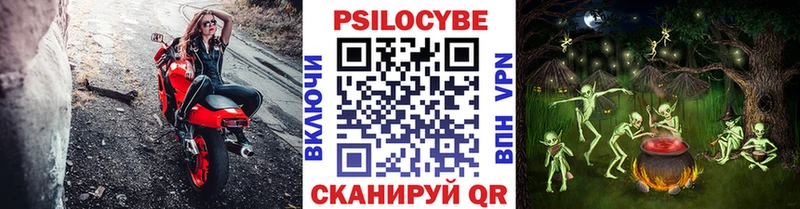 что такое наркотик Новокузнецк Псилоцибиновые грибы мухоморы