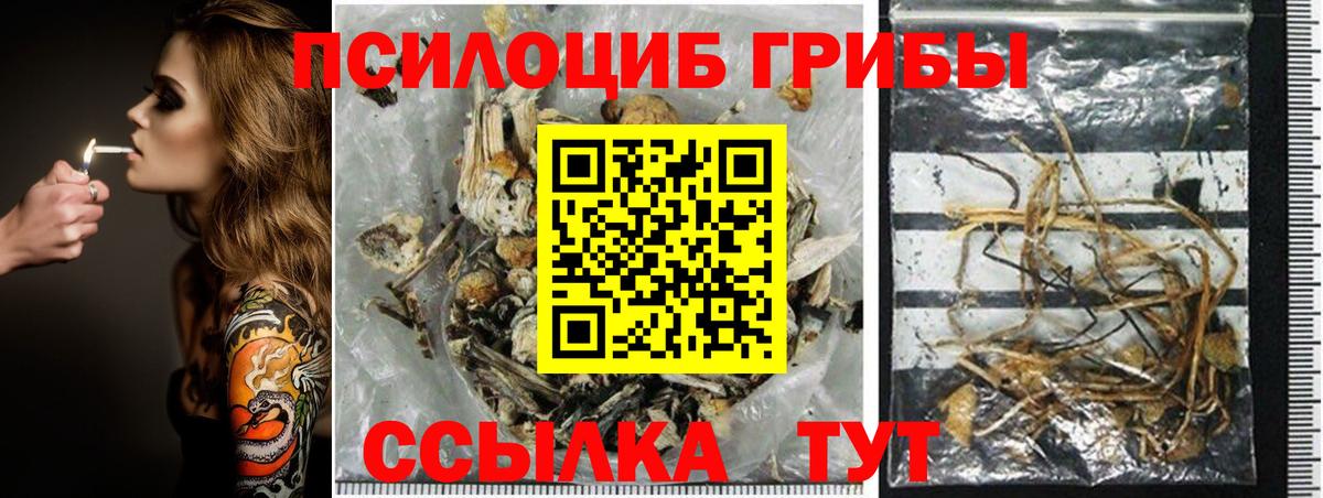 Псилоцибиновые грибы GOLDEN TEACHER Новокузнецк
