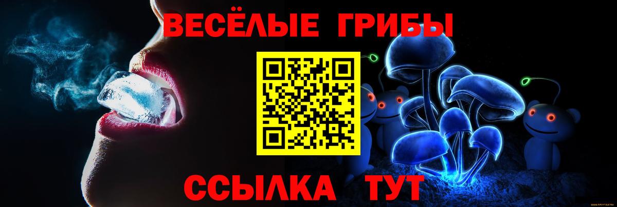 Новокузнецк  Галлюциногенные грибы Psilocybine cubensis  Вход с VPN 